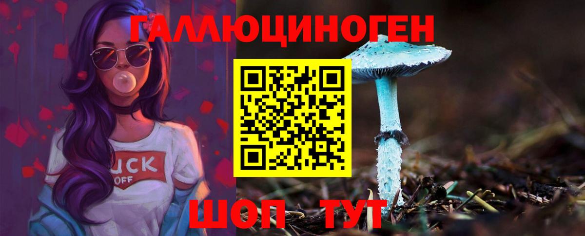 Галлюциногенные грибы Psilocybe Кисловодск